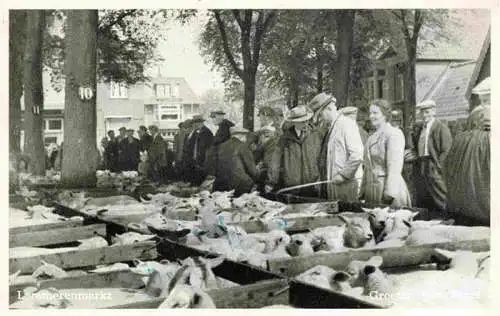 AK / Ansichtskarte  TEXEL_NL Lammerenmarkt