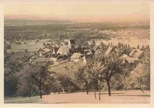 AK / Ansichtskarte  oetlingen__Weil_am_Rhein Panorama