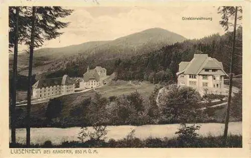 AK / Ansichtskarte  Luisenheim_Rehaklinik_Birkenbuck Panorama Direktorwohnung