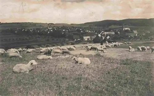 AK / Ansichtskarte  Boehringen_Roemerstein_Reutlingen_BW Panorama Schafherde