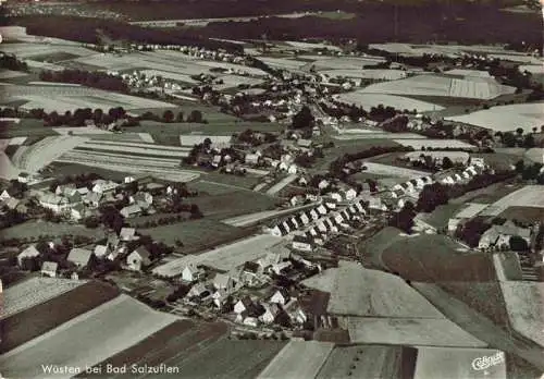 AK / Ansichtskarte  Wuesten_Herford_Bad_Salzuflen Fliegeraufnahme