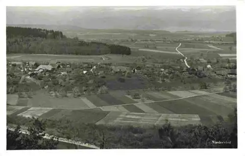 AK / Ansichtskarte  Niederried_Interlaken_BE Panorama