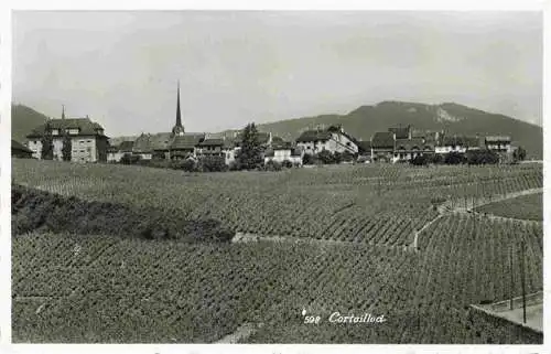 AK / Ansichtskarte  Cortaillod_NE Panorama