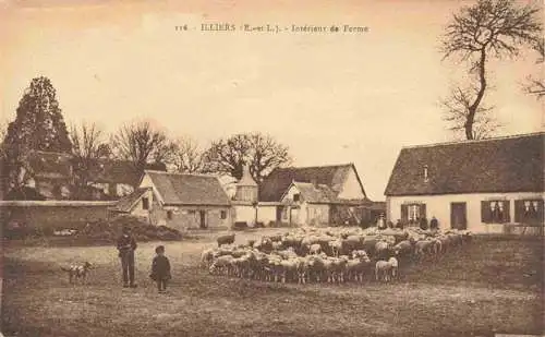 AK / Ansichtskarte  Illiers-Combray_28_Eure-et-Loir Intérieur de Ferme Bauernhof Schafherde