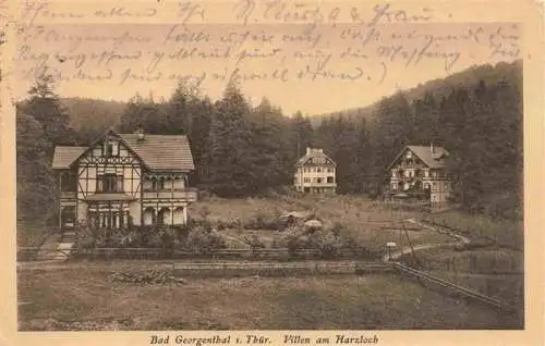 AK / Ansichtskarte  Bad_Georgenthal_Gotha Villen am Harzloch