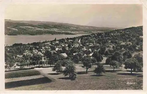 AK / Ansichtskarte  Beinwil_See_AG Panorama