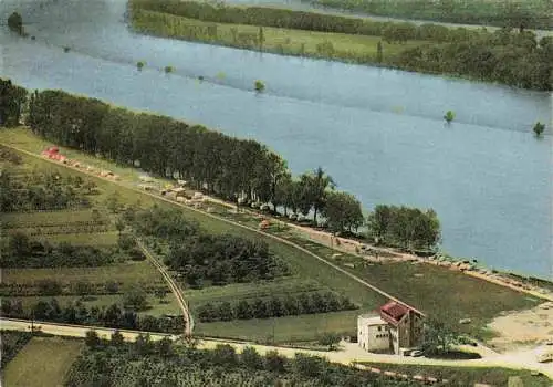 AK / Ansichtskarte  Heidesheim Campingplatz Heidenfahrt Rheinpartie