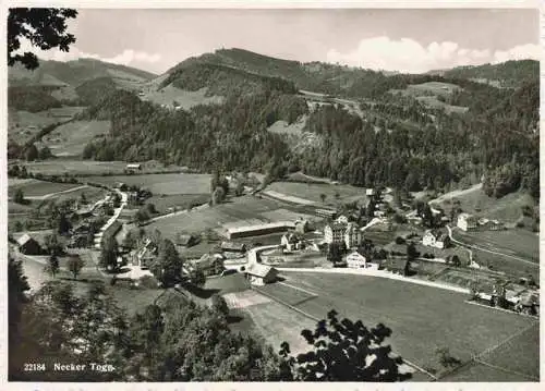 AK / Ansichtskarte  Necker_Toggenburg_SG Panorama