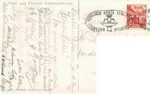 AK / Ansichtskarte  Kastanienbaum_LZ Hotel Pension