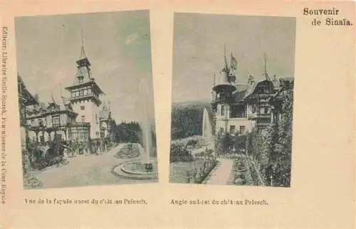 AK / Ansichtskarte 73976009 Sinaia_RO Château Pelesch