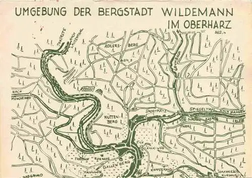 AK / Ansichtskarte 73976107 Wildemann_Harz Umgebung der Bergstadt uebersichtskarte