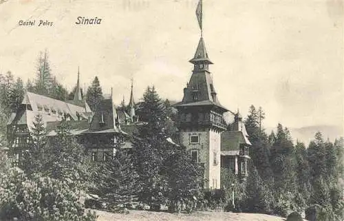 AK / Ansichtskarte  Sinaia_RO Castel Peles