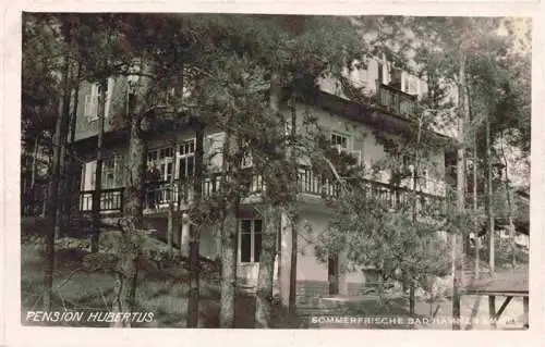 AK / Ansichtskarte  Bad_Hammer_am_See_Hamr_na_Jezere_CZ Pension Hubertus