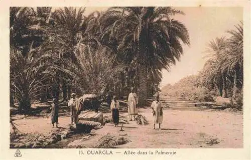 AK / Ansichtskarte  Ouargla_Algerie Allee dans la Palmeraie