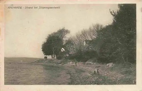 AK / Ansichtskarte  Apenrade_Aabenraa_DK Strand bei Juergensgaardwald