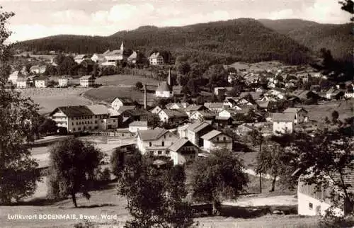 AK / Ansichtskarte  Bodenmais Panorama