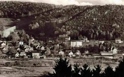 AK / Ansichtskarte  Bad_Koenig_Odenwald Panorama