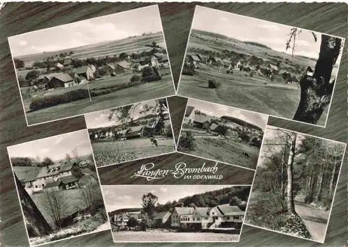 AK / Ansichtskarte  Langen_Brombach_Odenwald_Hessen Panorama Waldpartie