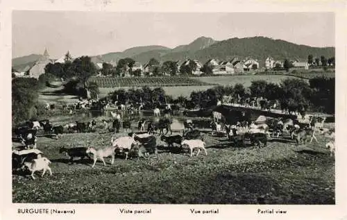 AK / Ansichtskarte  Burguete_Pirineo-Navarro_Pamplona_Navarra_ES Panorama