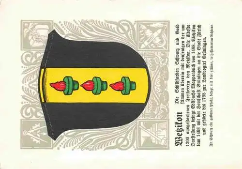 AK / Ansichtskarte  Wetzikon__ZH Wappen