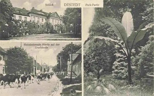 AK / Ansichtskarte  Destedt_Cremlingen_Niedersachsen Schloss Park Viehherde auf dem Heimweg Dorfstrasse