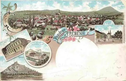 AK / Ansichtskarte  Trebenic_Trebenice_Trebnitz_Boehmen_CZ Panorama Teilansichten Litho