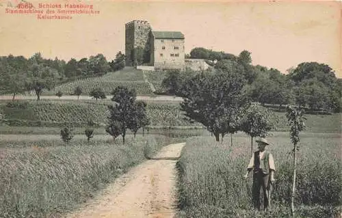 AK / Ansichtskarte  Schloss_Habsburg_Brugg_AG Stammschloss des oesterreichischen Kaiserhauses