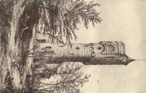 AK / Ansichtskarte  Sarleinsbach_Muehlviertel_Oberoesterreich_AT Ameisbergwarte