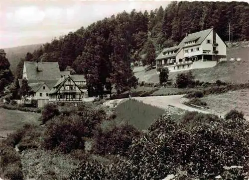 AK / Ansichtskarte  Kapfenhardt Waldgasthof Kapfenhardter Muehle