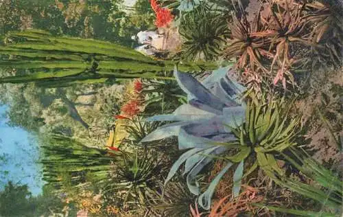 AK / Ansichtskarte  OSPEDALETTI_Imperia_Liguria_IT Botanischer Garten