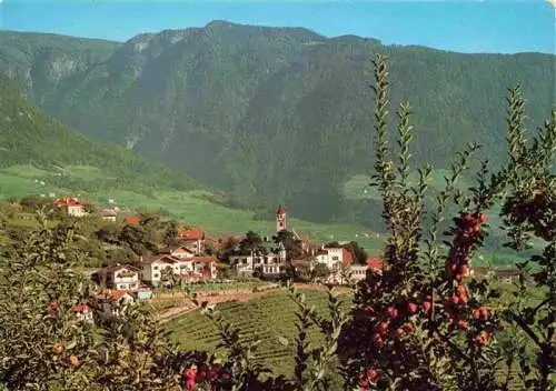 AK / Ansichtskarte  Dorf-Tirol_Suedtirol_IT Panorama