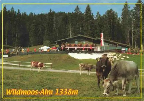 AK / Ansichtskarte  Wildmoos_Seefeld_Tirol_AT Almwirtschaft Almvieh