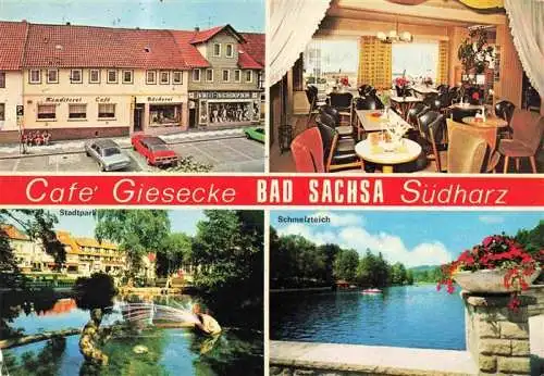 AK / Ansichtskarte  Bad_Sachsa_Harz Café Giesecke Gastraum Stadtpark Schmelzteich