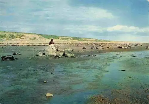 AK / Ansichtskarte  Goting Watt bei Goting-Kliff