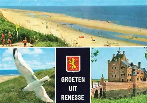 AK / Ansichtskarte  Renesse_aan_Zee_NL Kuestenpanorama Strand Moewe Schloss