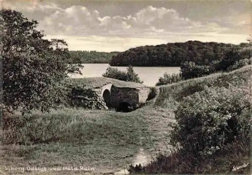 AK / Ansichtskarte  Viborg__Vestsjalland_DK Udsigt ved Hald Ruine