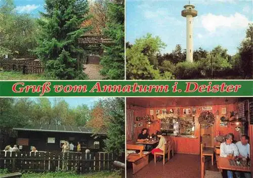 AK / Ansichtskarte 73979168 Wennigsen_Deister Waldgaststaette Annaturm