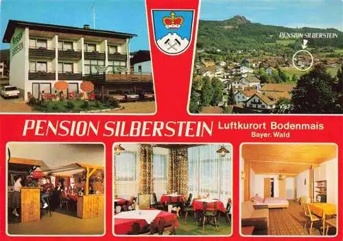 AK / Ansichtskarte 73979205 Bodenmais Pension Silberstein Panorama Luftkurort Bayerischer Wald
