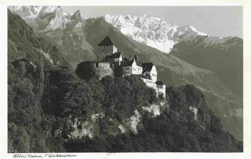 AK / Ansichtskarte 73979212 Liechtenstein_Fuerstentum Schloss Vaduz