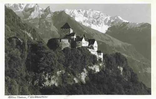 AK / Ansichtskarte  Liechtenstein_Fuerstentum Schloss Vaduz