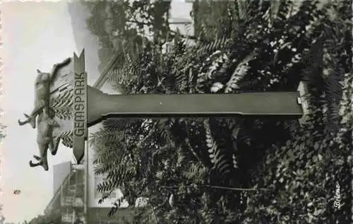 AK / Ansichtskarte  Brienz_Brienzersee_BE Gemspark Wegweiser