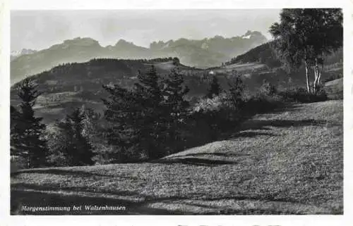 AK / Ansichtskarte  Walzenhausen_AR Panorama
