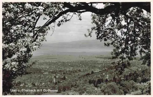 AK / Ansichtskarte  Thal_Rheineck_SG mit Bodensee