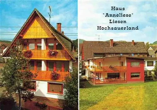 AK / Ansichtskarte  Liesen_Hallenberg_Hochsauerland Pension Haus Anneliese