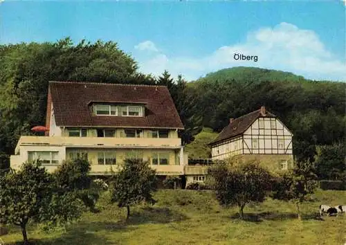 AK / Ansichtskarte  Margarethenhoehe_Koenigswinter_NRW Hotel Restaurant Im Hagen Blick zum oelberg