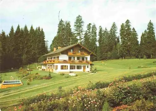 AK / Ansichtskarte  Lindberg_Regen Pension Faerberhof am Fusse des Falkenstein