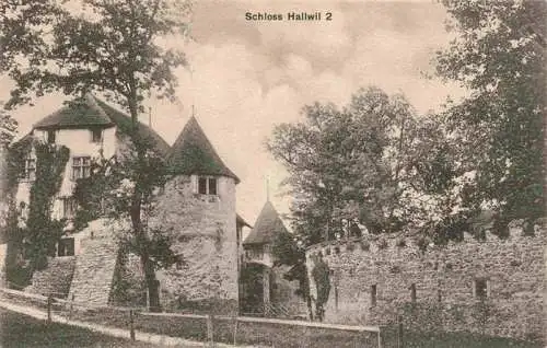 AK / Ansichtskarte  Hallwil_Hallwyl_AG Schloss Hallwil Feldpost
