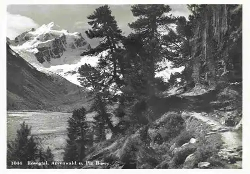 AK / Ansichtskarte  Rosegtal_GR Arvenwald und Piz Roseg
