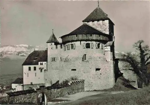 AK / Ansichtskarte  Liechtenstein_Fuerstentum Schloss Vaduz