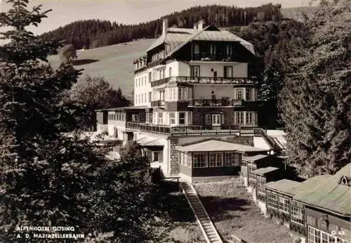 AK / Ansichtskarte  Goesing Alpenhotel Goesing